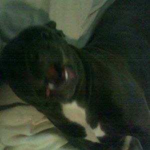 Meet your Posher, Cindy